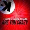 Download track Are You Crazy (Extended Mix)