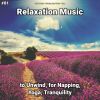 Download track Relaxation Music, Pt. 8