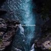 Download track Rain Forest River