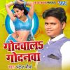 Download track Tar Tar Choli Fatat Jat Ba