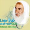 Download track Liqa Bab Maftouh, Pt. 11