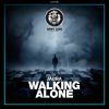 Download track Walking Alone