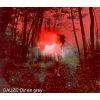 Download track GAUZE - Mode Of Eve -