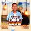 Download track Forró E Desmantelo