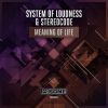 Download track Meaning Of Life (Radio Edit)