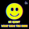 Download track What Have You Done (Junk Yard Mix)