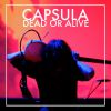 Download track Dead Or Alive (Live)