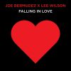 Download track Falling In Love (Extended Mix Instrumental)