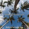 Download track Backdrop For Relaxing At Home - Tenor Saxophone And Acoustic Guitar