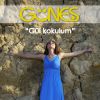 Download track Gül Kokulum