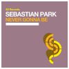 Download track Never Gonna Be