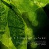 Download track Light Through Leaves