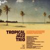 Download track Tropical Mood