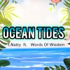 Download track Ocean Tides (Original)