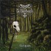 Download track A Secret Shrouded By Trees