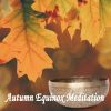 Download track The September Equinox Tibetan Singing Bowls Meditation, Pt. 10