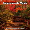 Download track Entspannende Musik Pt. 79