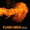 Download track Flash Area (Original Mix)