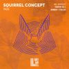 Download track Squirrel Concept