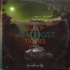 Download track Asleep / Awake