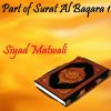 Download track Part Of Surat Al Baqara 1, Pt. 2 (Quran)