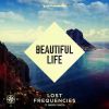 Download track Beautiful Life