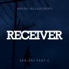 Download track Receiver Remix - FLANDERSONG