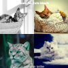 Download track Joyful (Sleeping Cats)