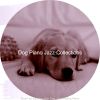 Download track Background For Keeping Dogs Relaxed