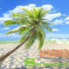 Download track Summer Decate