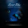 Download track Secret Blue (Extended Mix)