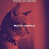 Download track Nurturing (Training Cats)