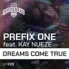 Download track Dreams Come True (Extended Mix)