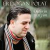 Download track Delinin Biriyim