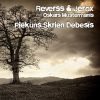 Download track Piekūns Skrien Debesīs (DJ Versija)