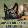 Download track Canine Lullabies, Pt. 17