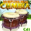 Download track Cumbia De Los Pajaritos