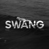 Download track Swang