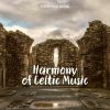 Download track Peaceful Celtic Music