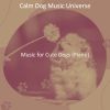 Download track Magnificent Moods For Walking Doggies