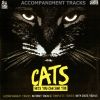Download track Gus: The Theatre Cat (Guide Vocal Version)