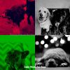 Download track Background For Cute Puppies