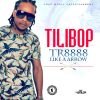 Download track Tr8888 Like A Arrow