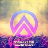 Download track Waving Crazy (Extended Mix)