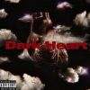 Download track Dark Heart