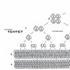 Download track Ident # 3 Module A (+ 'Scatter')