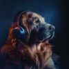 Download track Canine Binaural Serenity