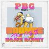 Download track Home Bunny