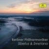 Download track The Swan Of Tuonela, Op. 22, No. 2