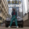 Download track Wantaka